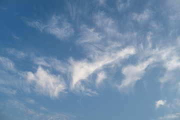 Fototapeta na wymiar The cirrus clouds