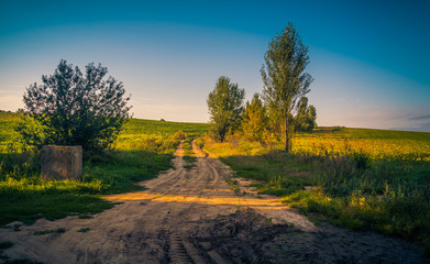 Fields, forests and roads in autumn