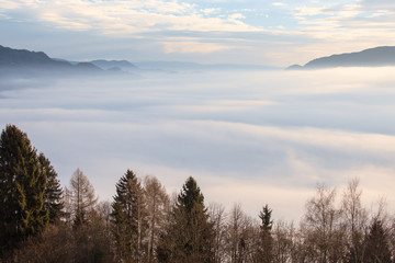 Fototapeta na wymiar Landscape Morning View With Waves of Fog Over the Mountain and Trees