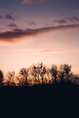 Fototapeta premium Sunset