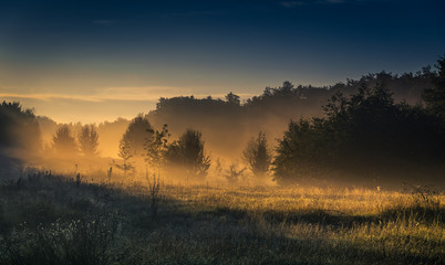 Fields, forests and roads in autumn