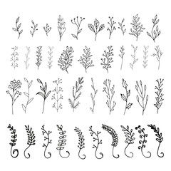 Collection of hand drawn vector florals and branches with leaves