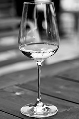 Glass of White Wine Close Up