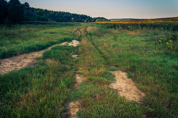 Fields, forests and roads in autumn