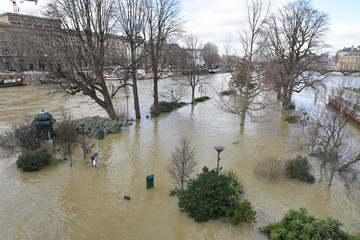 Seine en crue au square du Vert-Galant à Paris, France