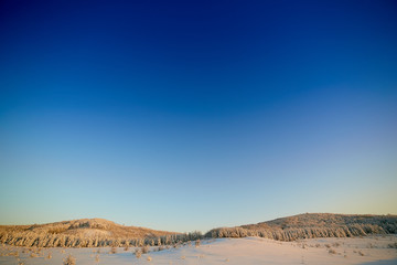 trees in snow in winter against the background of blue sky at sunset