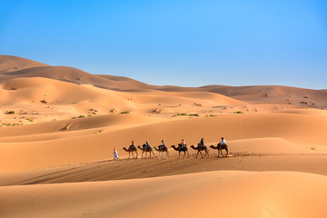 Karawana na pustynii Sahara, Wydmy Erg Chebbi. © TOP67