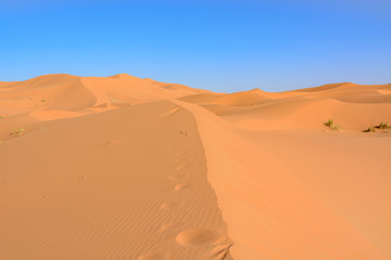 Fototapeta na wymiar Wydmy Erg Chebbi. Sahara