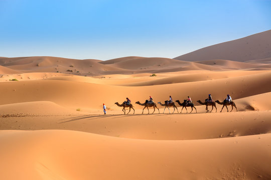 Karawana na pustynii Sahara, Wydmy Erg Chebbi.
