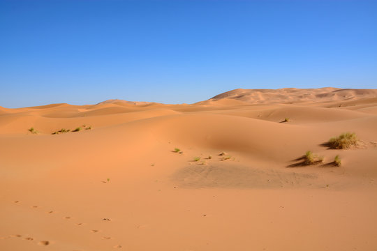 Wydmy Erg Chebbi. Sahara © TOP67