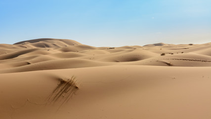 Wydmy Erg Chebbi. Sahara