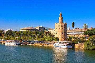 Fototapeta premium Sewilla / Hiszpania - Torre del Oro