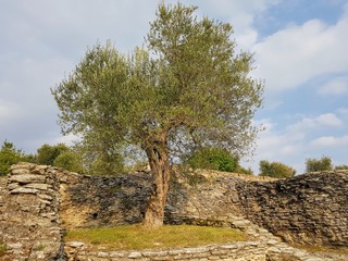  a marvelous tradition from the Roman era