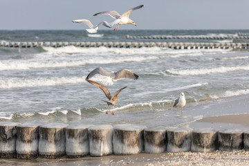 winter an der ostsee