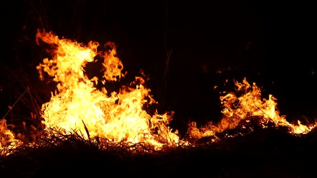 Burning grass of the field at night.