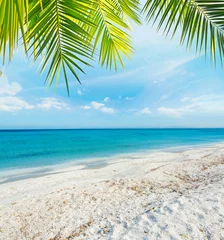Fotobehang Strand en zee Palm tree over a tropical beach