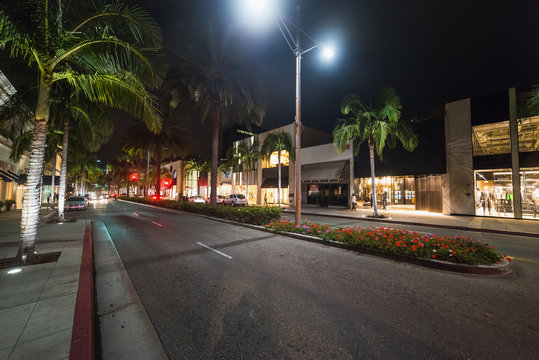 Palm trees in Rodeo Drive at night