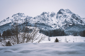 Fototapeta na wymiar Winterlandschaft - Verschneiter Berg mit Wald