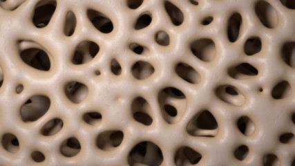 3D CG rendered image of healthy bone micro structure