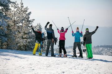 Happy skiing group on the mountain top. Back view