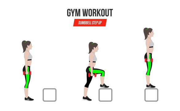 Sport exercises. Exercises in a gym. Dumbbell Step Up Illustration of an active lifestyle.