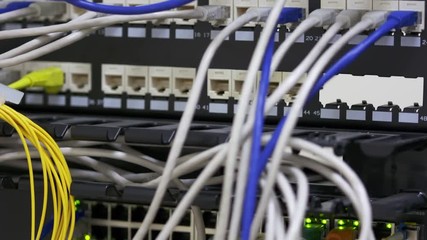 Network cables connected to switch in server room at the data centre. Closeup - Powered by Adobe