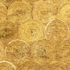 Stacks of hay background
