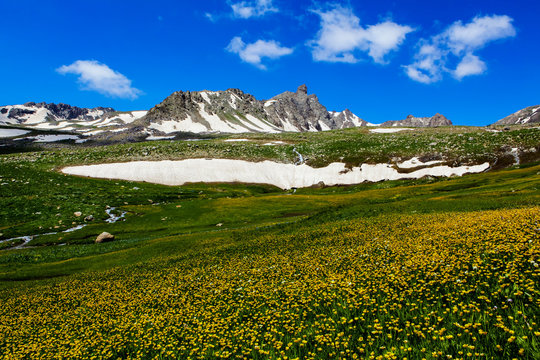 Hakkari Yaylaları