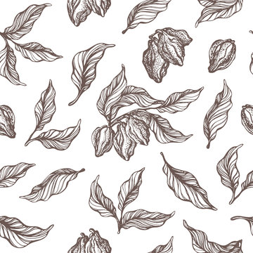 Vector pattern of cocoa tree branches
