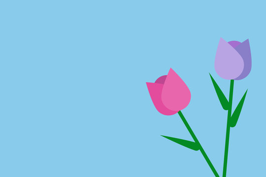 Two Spring Tulips on Blue Background