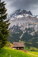 Spring landscape in Swiss Alps. Grindelwald valley, Switzerland.