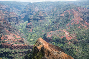 Fototapeta premium Green Canyons