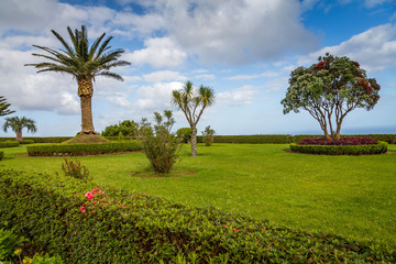 Tropical Garden in the Azores