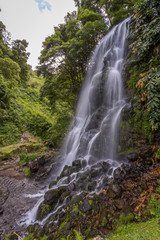 Cascade in the Azores