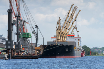 Fototapeta premium Cranes in marine terminal
