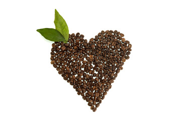 white background with heart coffee beans and leaves