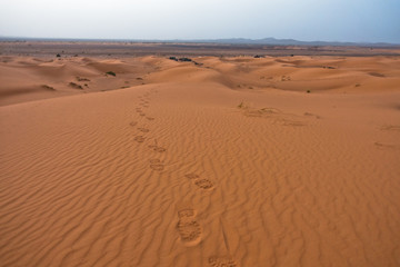 Fototapeta na wymiar Steps in a sand at the edge of Sahara desert, Erg Chebbi, Morocco, Africa