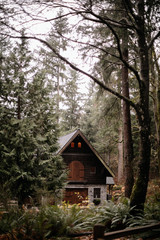 Fototapeta na wymiar small house through the woods