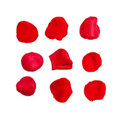 Rose Petals Isolated With Clipping Path