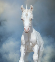 Obraz na płótnie Canvas Newborn Unicorn with blue eyes running through magical blue smoke.