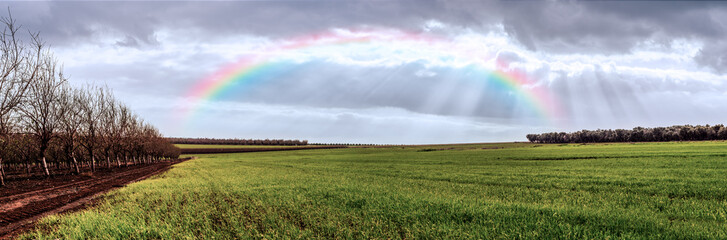dreamy landscape of a green field with sun rays and a rainbow. North Israel