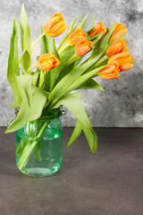 Orange tulips in glass jar. Gray background.