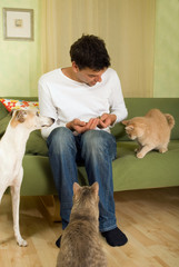 Mann mit Hund und Katzen