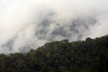 Mt. Santubong, Sarawak, Malaysia