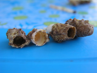 Quilted queen bees on the frame.