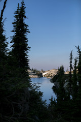 trees near mountain lake at sunrise