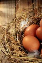 Chicken eggs in the nest. On wooden rustic background.Copy space