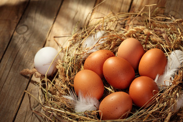 Chicken eggs in the nest. On wooden rustic background.Copy space