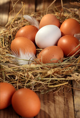 Chicken eggs in the nest. On wooden rustic background.Copy space