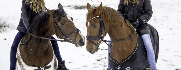 Snowy adventure with horses